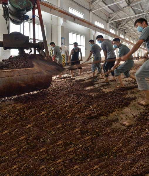 习酒大鸿图生产车间